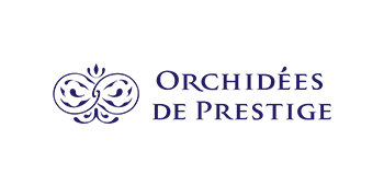Orchidées de Prestige