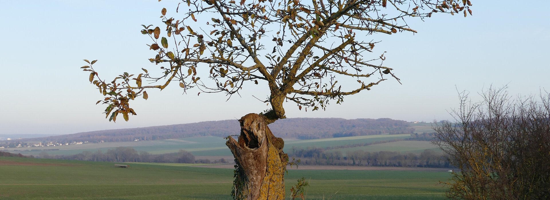 Courgenay en photos