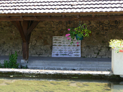 LAVOIR     PÉDAGOGIQUE